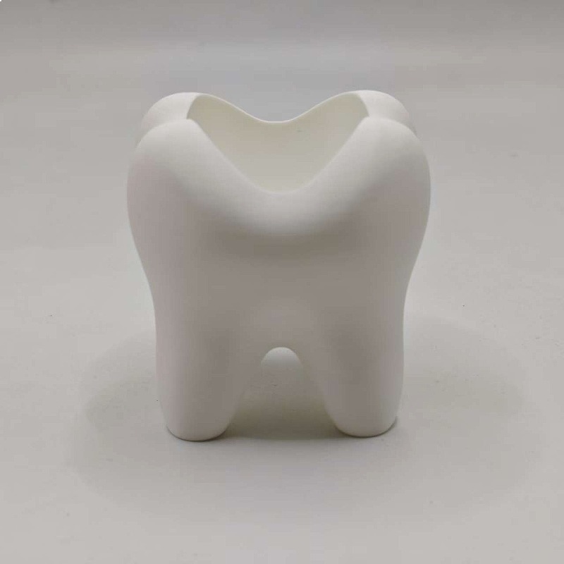 Cross-border 3D Printed Tooth- - مراجعة 3D Printing Tooth وسعره