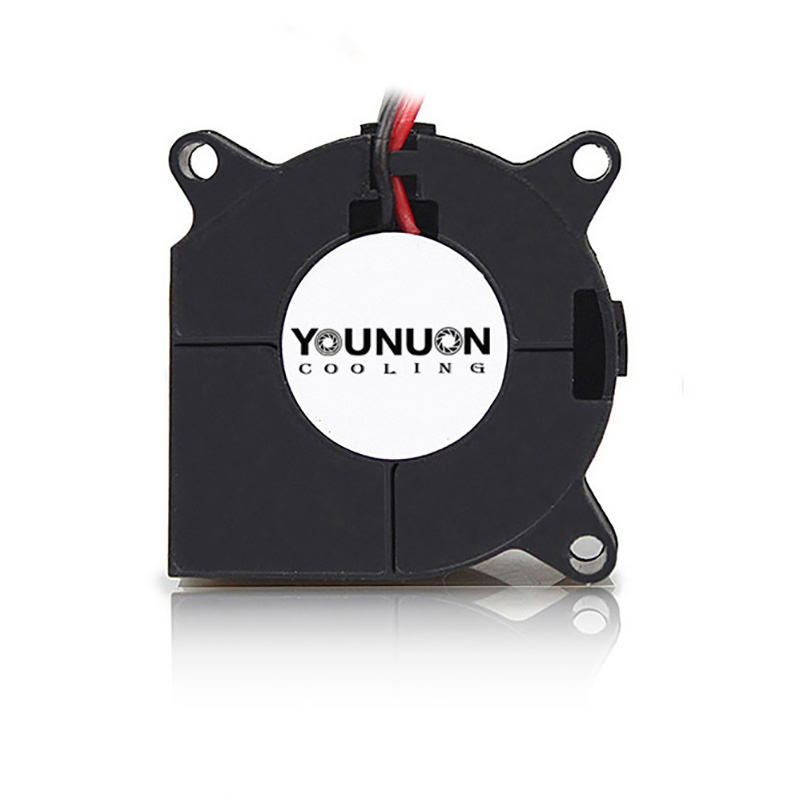 2 Pieces 40mm Blower Fan 4020  - مراجعة Cooling Fan 40Mm 3D وسعره