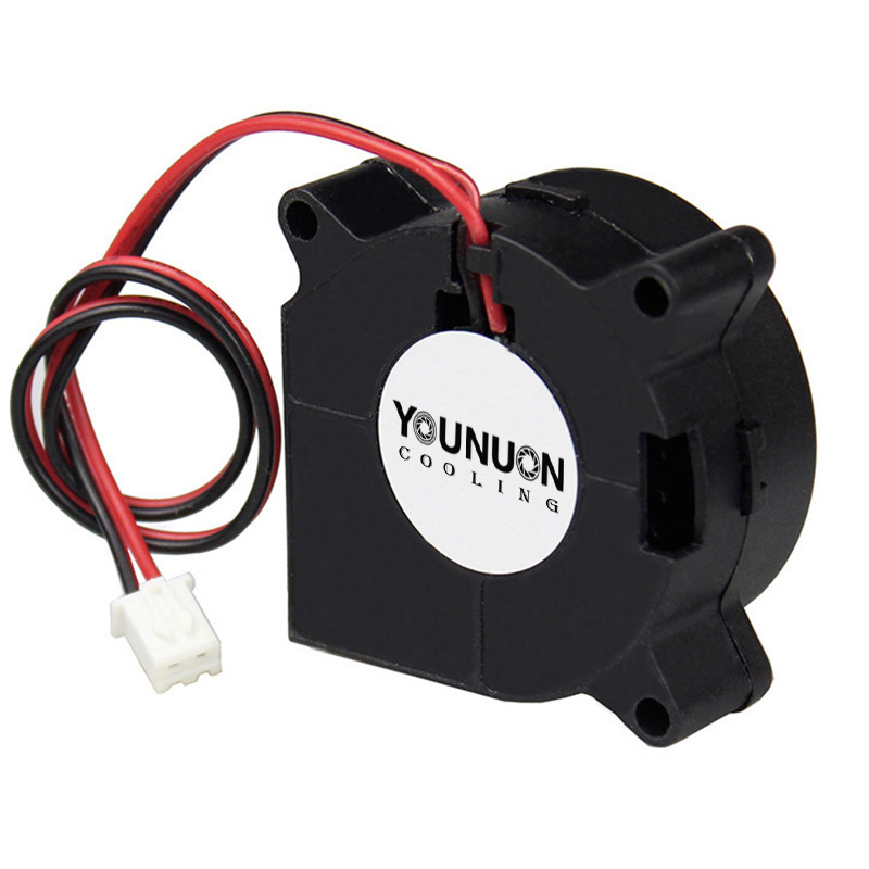 2 Pieces 40mm Blower Fan 4020  - مراجعة Cooling Fan 40Mm 3D وسعره